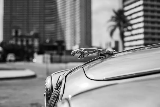 Kazoom Kazino Android/iOS programa